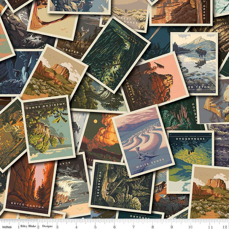 The National Parks Postcard Toss Multi by Anderson Design Group for Riley Blake Designs - CD13290-MULTI