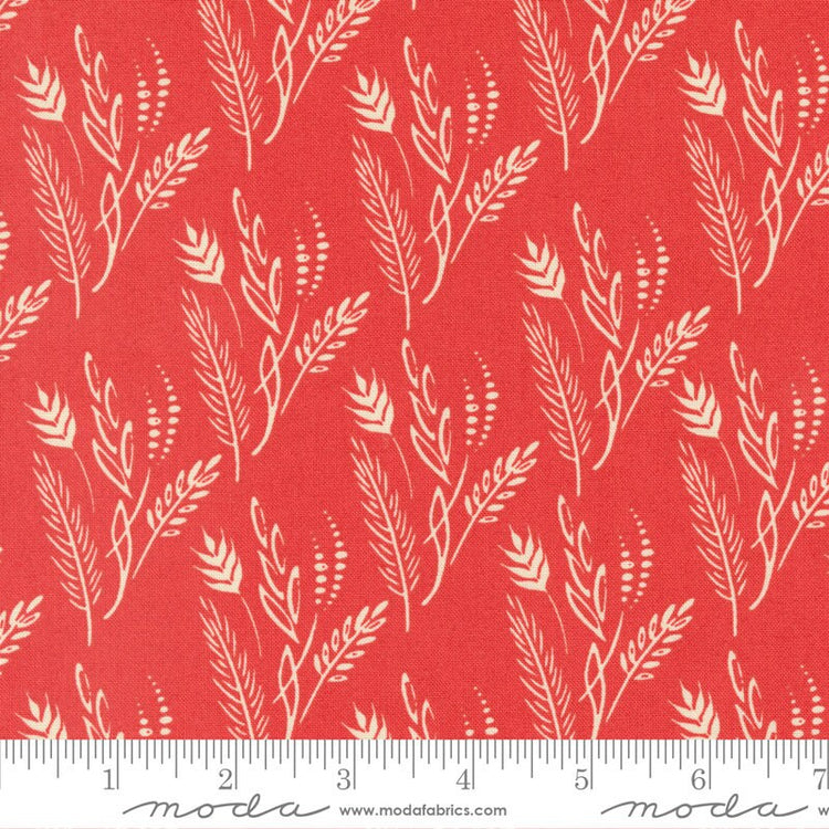 Dawn on the Prairie Grasslands Blenders Poppie Field by Stephanie Sliwinski of Fancy That Design House for Moda Fabrics - 45574 24