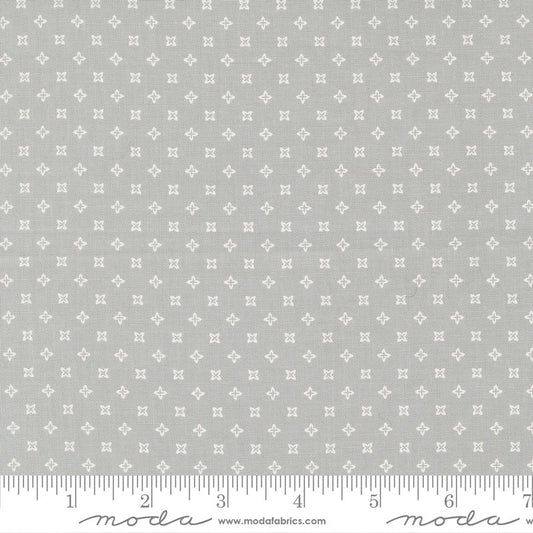 Peachy Keen Seeds Blenders Grey by Corey Yoder for Moda Fabrics - 29173 12