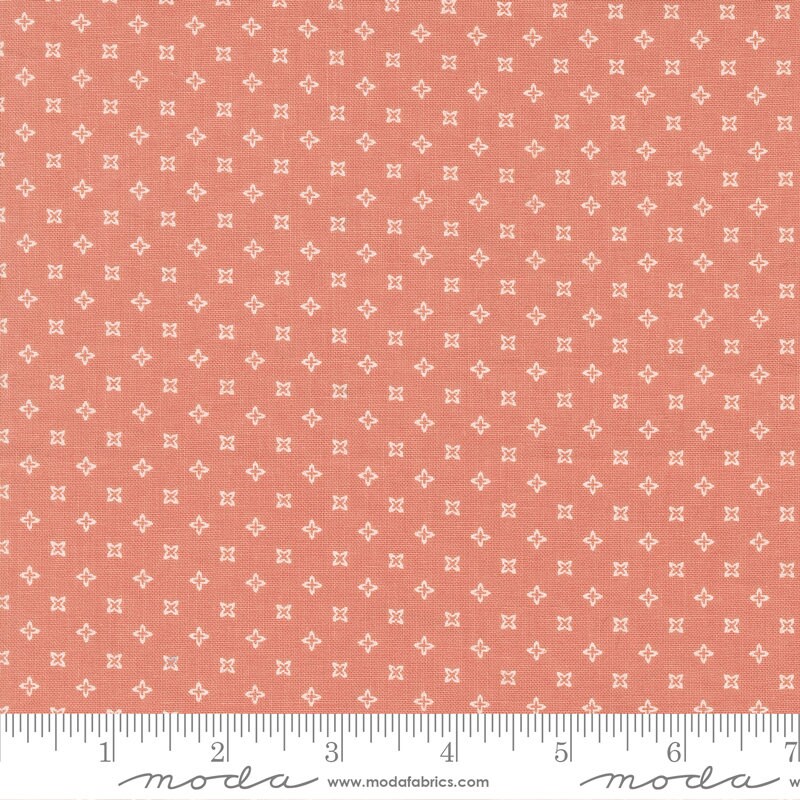 Peachy Keen Seeds Blenders Coral by Corey Yoder for Moda Fabrics - 29173 19