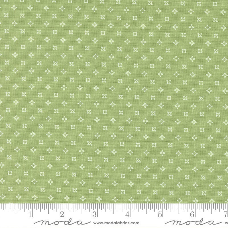 Peachy Keen Seeds Blenders Fern by Corey Yoder for Moda Fabrics - 29173 13