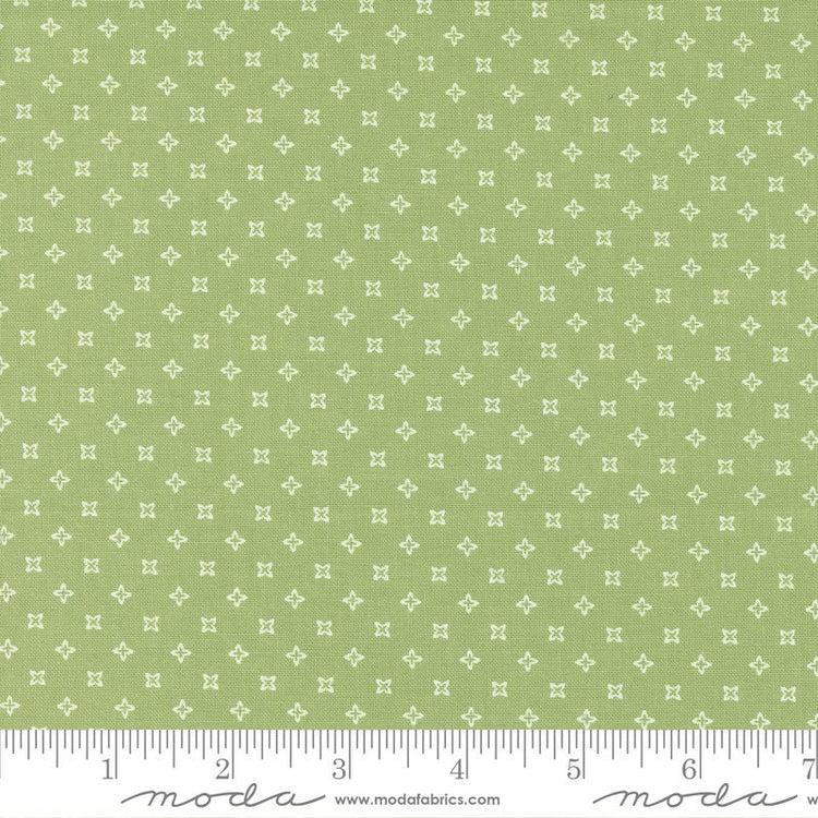 Peachy Keen Seeds Blenders Fern by Corey Yoder for Moda Fabrics - 29173 13