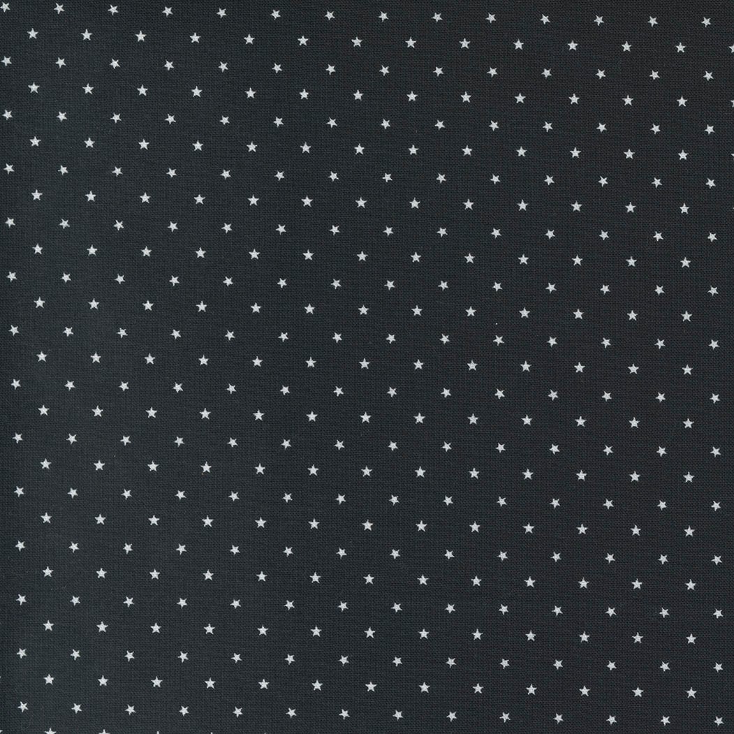 Twinkle Midnight by April Rosenthal Prairie Grass with Moda Fabrics - 24106 20