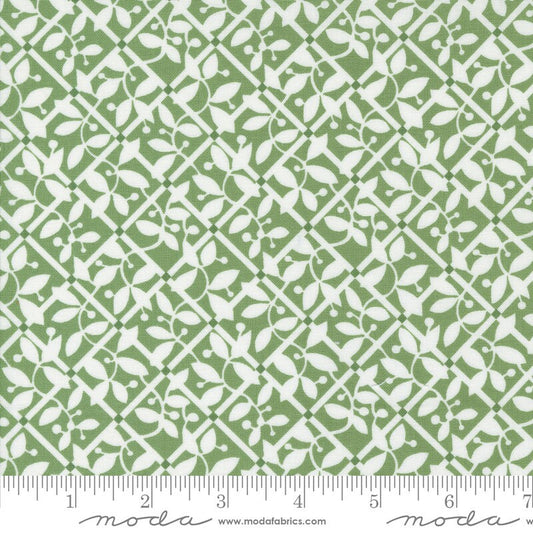 Shoreline Lattice Checks and Plaids Blender Green by Camille Roskelley for Moda Fabrics - 55303 15