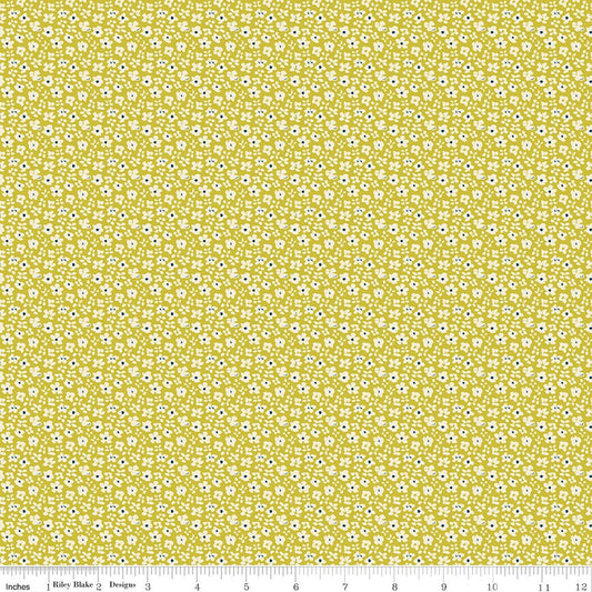 Feed My Soul Daisies Pear by Sandy Gervais for Riley Blake Designs - C14555-PEAR