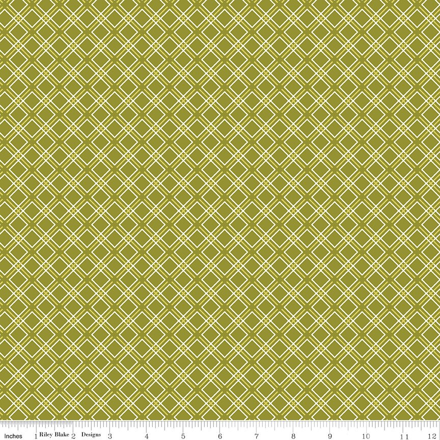 Feed My Soul Geo Olive by Sandy Gervais for Riley Blake Designs - C14557-OLIVE