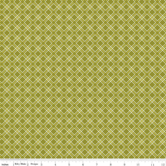 Feed My Soul Geo Olive by Sandy Gervais for Riley Blake Designs - C14557-OLIVE